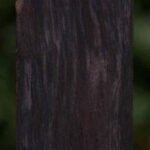 African Blackwood Turning Square