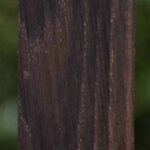 African Blackwood Turning Square