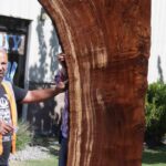 Extra Fancy Fiddleback Crotchwood Claro Walnut Slab