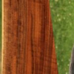 AAA+ Claro Walnut Gun Blank