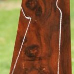 AA+ Claro Walnut Gun Blank