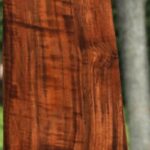 AAA+ Claro Walnut Gun Blank