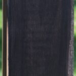 African Blackwood Instrument Blank