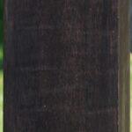 African Blackwood Instrument Blank