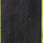 African Blackwood Turning Square