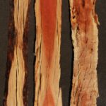 Rustic Pink Ivory Live Edge Lumber 3 Pack