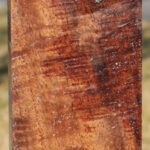 AAA Extra Fancy Claro Walnut Turning Square