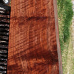 AAA+ Claro Walnut Rifle Blank