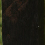 African Blackwood Turning Square