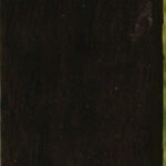 African Blackwood Turning Square