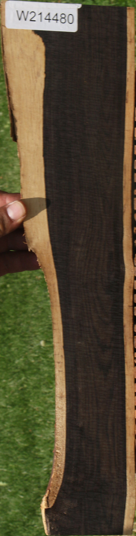 214480_1_9245504d-9434-49df-892c-b3f95464dd05 African Blackwood Live Edge Micro Lumber - Image 1