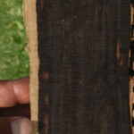 African Blackwood Live Edge Micro Lumber