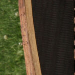 African Blackwood Live Edge Micro Lumber