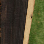 African Blackwood Micro Lumber