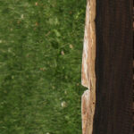 African Blackwood Live Edge Lumber