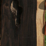 African Blackwood Live Edge Lumber