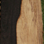 African Blackwood Live Edge Micro Lumber