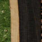 African Blackwood Live Edge Micro Lumber