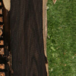 African Blackwood Live Edge Micro Lumber