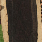 African Blackwood Micro Lumber