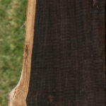 African Blackwood Live Edge Lumber