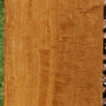 African Bog Birch Lumber