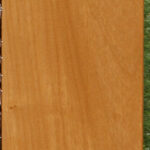 African Bog Birch Micro Lumber