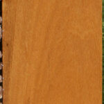 African Bog Birch Micro Lumber