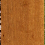 Extra Fancy African Bog Birch Micro Lumber