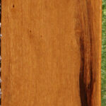 African Bog Birch Micro Lumber