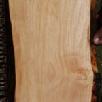 Alder Live Edge Lumber