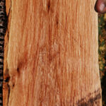 Alder Live Edge Micro Lumber