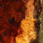Afzelia Burl Live Edge Lumber