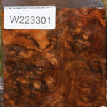 Almond Burl Bowl Blank