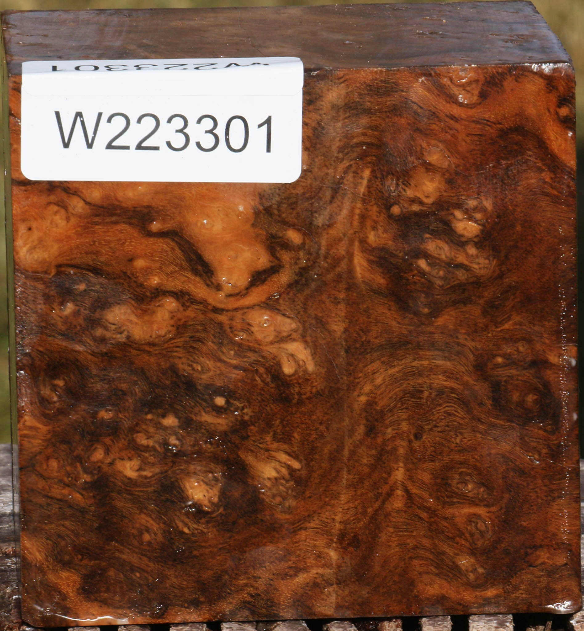 223301_1_390717fc-8cba-4604-aefc-8401d61c5ff6 15029414658419