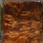 Almond Burl Bowl Blank