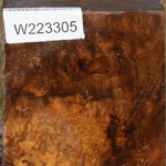 Almond Burl Bowl Blank