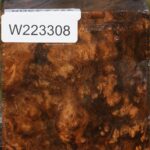 Almond Burl Bowl Blank