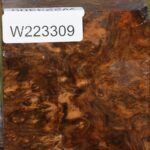 Almond Burl Bowl Blank