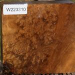 Almond Burl Bowl Blank