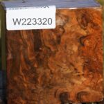 Almond Burl Bowl Blank