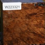 Almond Burl Bowl Blank