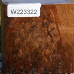 Almond Burl Bowl Blank