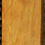 African Teak Lumber