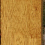African Teak Lumber