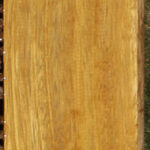 African Teak Lumber