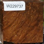 Almond Burl Bowl Blank