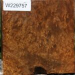 Almond Burl Bowl Blank