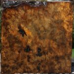 Almond Burl Bowl Blank