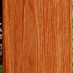 African Rosewood Lumber